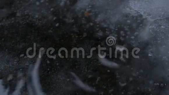 路面上的雨坑视频的预览图