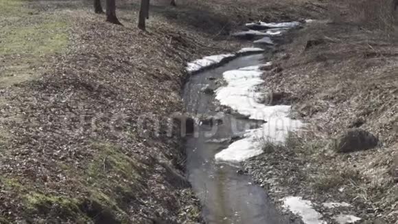 河流溪流在春天穿过混合森林边缘有雪小车变焦视频的预览图