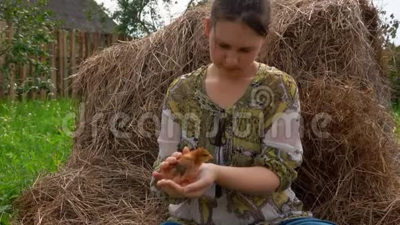 小鸡坐在一个农家女孩的手上视频的预览图