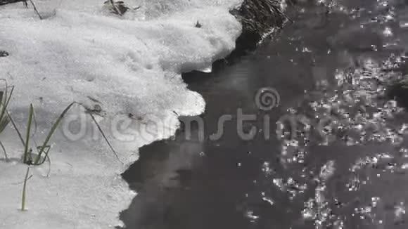 近溪而上江瀑在林中春色带岩雪多利变焦视频的预览图