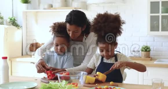 微笑混合种族妈妈教孩子们切菜视频的预览图