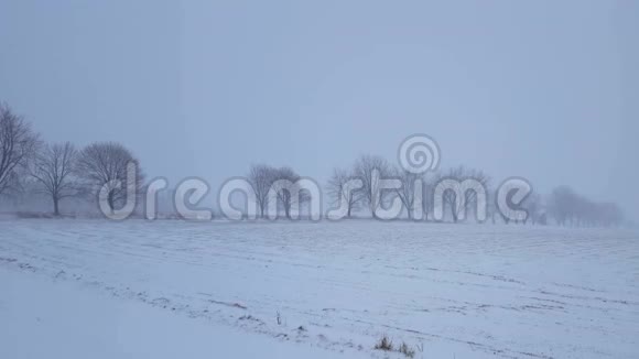 白雪皑皑的暴雪穿过乡间树木大雪景观视频的预览图