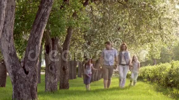 快乐的一家人走在夏天的公园里靠近盛开的苹果树父亲母亲和两个女儿视频的预览图