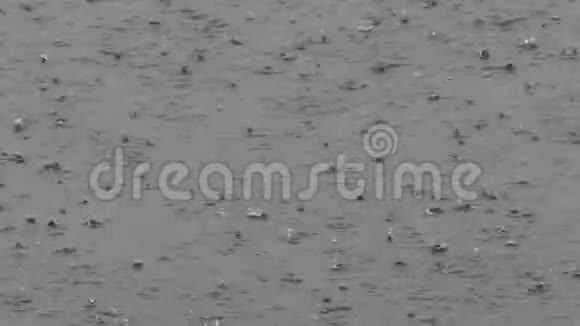 水面大雨视频的预览图