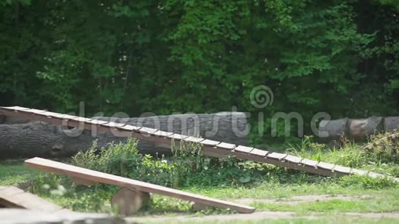 一个小学生骑着山地车做运动骑着移动的木板视频的预览图