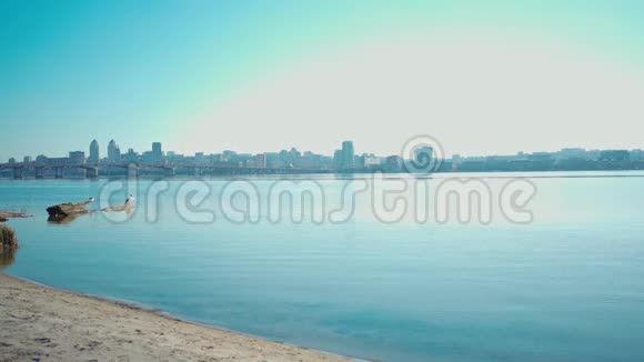 大江海岸或海湾全景另一边有清澈的碧水和城市景观视频的预览图