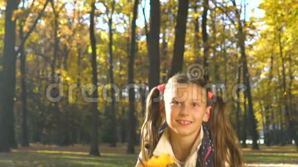 公园里快乐的小女孩慢慢地把秋叶朝镜头扔去视频的预览图