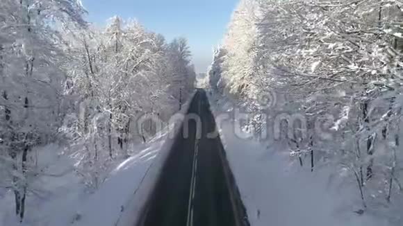 无人机在白雪覆盖的美丽树木之间拍摄了一条空路视频的预览图