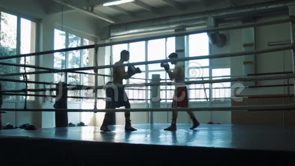 在戒指上训练两个拳击手的剪影视频的预览图