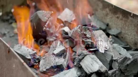 烧烤架中燃烧煤的特写煤开始燃烧了带烟的热煤和火焰视频的预览图