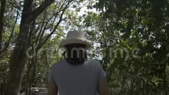 后观女性自然保护主义者漫步热带森林观赏乡村常绿树木美景视频的预览图