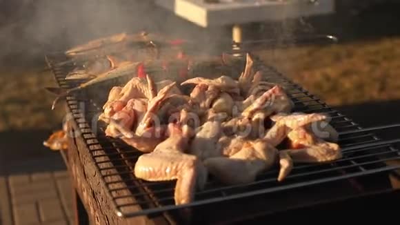 烤架上有烤鸡户外烤架上鸡翅的库存视频夏季烧烤视频的预览图