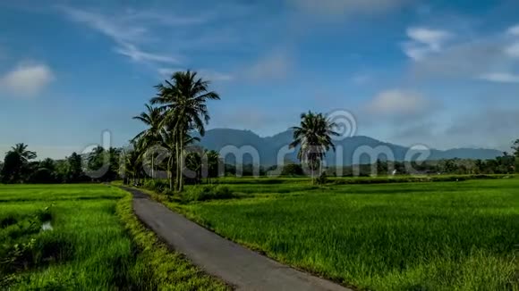 马来西亚基达村附近稻田的美丽变焦时间推移视频的预览图