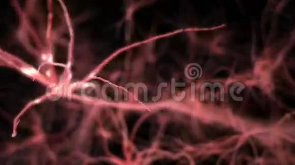 神经元突触网络穿越大脑医学和科学动画视频的预览图