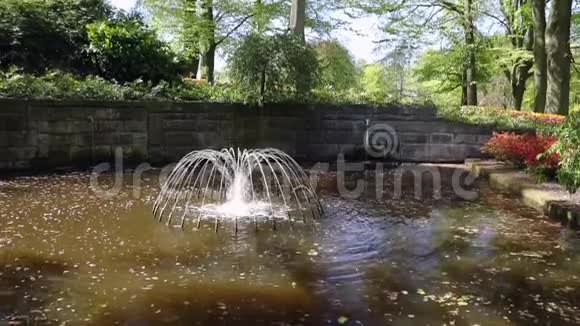高清镜头盛开的欧洲花园喷泉在公园荷兰视频的预览图
