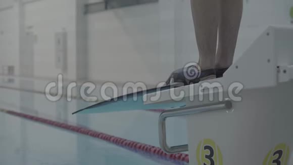 专业运动的男性游泳运动员从室内游泳池的起点用脚蹼跳入游泳池视频的预览图