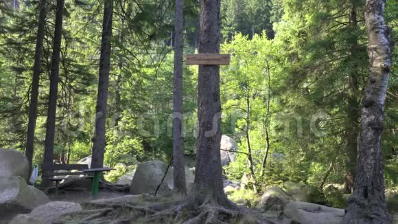 在美丽的哈兹山脉夏季景观放松场所的木制长凳和大石头视频的预览图