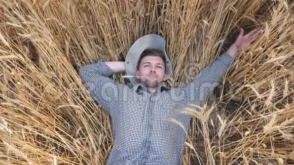 年轻农民躺在麦茎上休息在谷地的俯视图快乐的雄农学家躺在大麦上视频的预览图