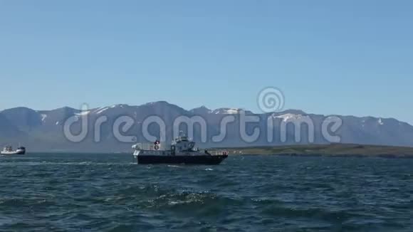 冰岛海湾的鲸鱼慢动作录像视频的预览图