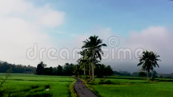马来西亚基达村附近稻田的美丽变焦时间推移视频的预览图