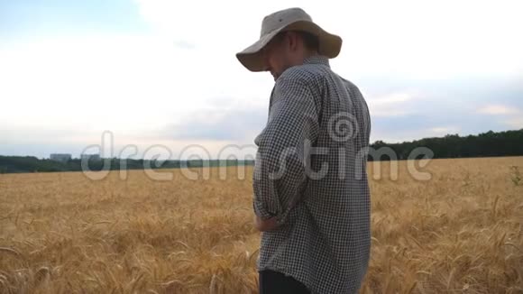 年轻的农学家站在大麦草地上用手机说话男性农民用手机做生意视频的预览图