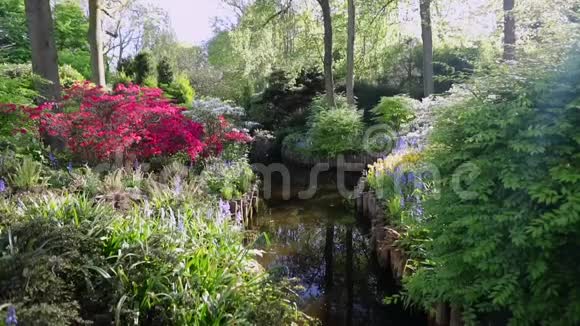 荷兰的基肯霍夫公园高清录像视频的预览图