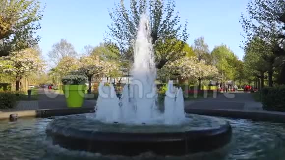 荷兰公园喷泉布鲁明欧洲花园高清录像视频的预览图