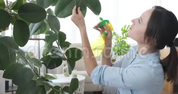 女人在家里喷洒植物视频的预览图