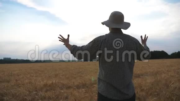 快乐的年轻农民站在成熟的麦田上举起双手在他的金色种植园上男性农学家视频的预览图