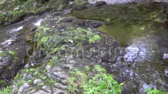 阳光明媚的哈兹山脉夏季景观中的巨大苔藓岩石和水流视频的预览图