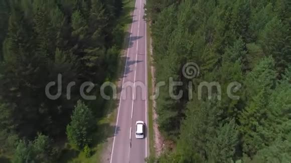 在一个阳光明媚的夏天空中深色的汽车沿着沥青路穿过广阔的森林视频的预览图