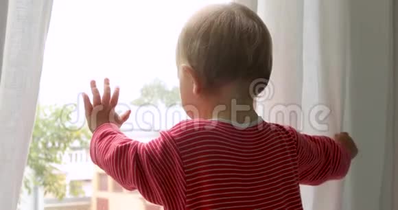宝宝在家摸窗户视频的预览图