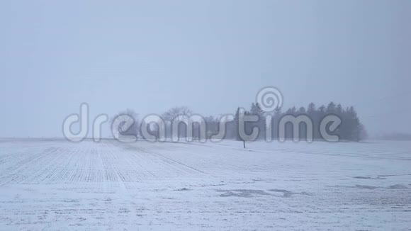 白雪风暴暴雪横跨乡村和农场农村农田大雪景观视频的预览图