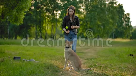 一个漂亮的女孩把球扔到空中她的狗正在跳着去接球视频的预览图