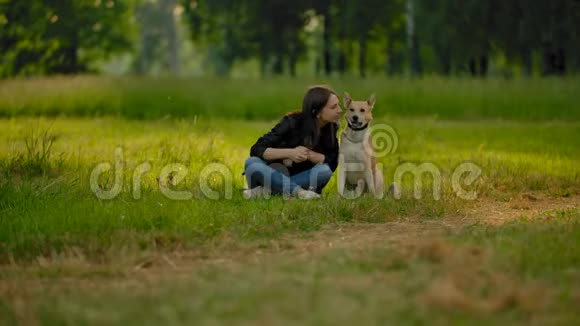 公园里一个年轻的棕色头发的女人和她的近亲狗交流视频的预览图