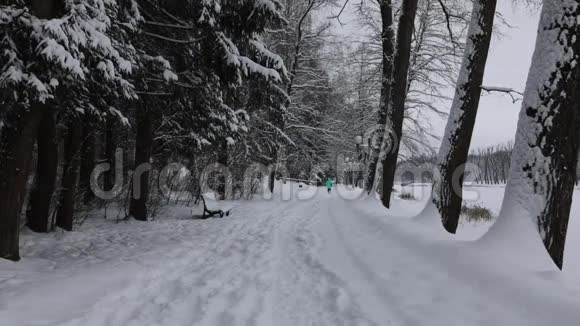 积雪覆盖冬季道路景观带步行人高清录像视频的预览图