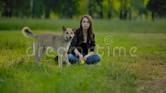 英俊的女孩坐在草地上向她的狗扔了一个网球把它拿回来视频的预览图