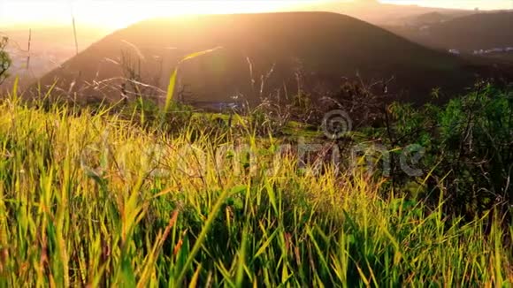有草有山的乡村景象视频的预览图