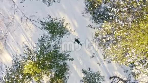 女孩在森林里做雪天使空中拍摄女孩幸福的手臂雪天使的形象和视频的预览图