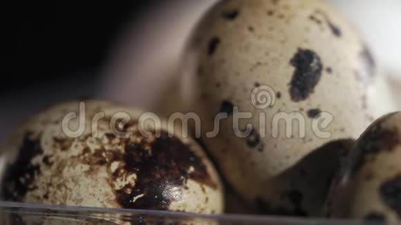 托盘里放着一排鸡蛋和鹌鹑蛋深色背景视频的预览图
