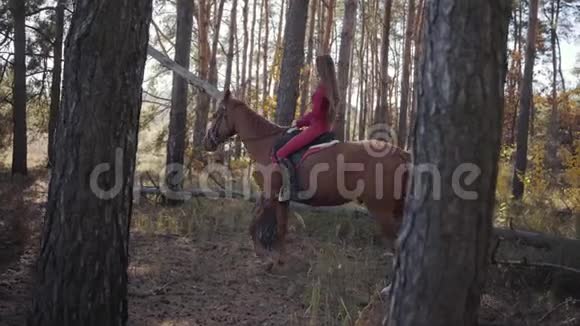 在秋天的森林里一个穿着粉红色衣服的白种人女孩骑着棕色的马青年视频的预览图