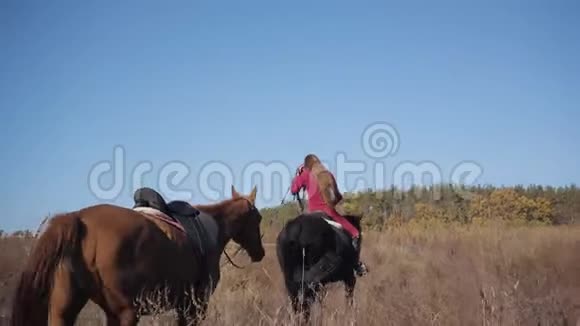 年轻的白人女性马术运动员骑着黑色的马在草地上牵着棕色的马厩视频的预览图