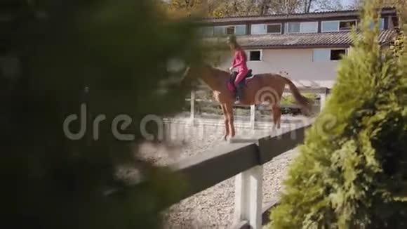 白种人的雌性马术运动员坐在优雅的棕色马背上穿粉色衣服的骑师的肖像视频的预览图