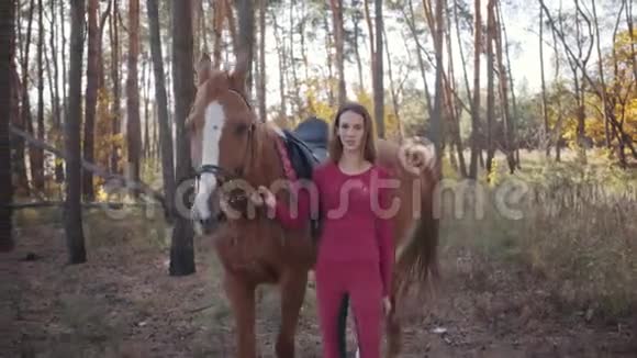 一个穿着粉红色衣服的白种人年轻女孩在秋天的森林里和一匹美丽的棕马在树间散步的肖像视频的预览图
