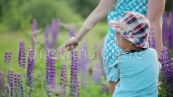 一位年轻的母亲和她的小儿子正在夏天的草地上奔跑他们快乐而快乐视频的预览图