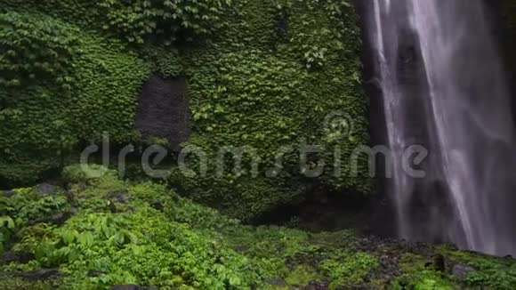 令人惊叹的塞库普尔瀑布巴厘岛慢动作录像热带植物前景的流动相机视频的预览图