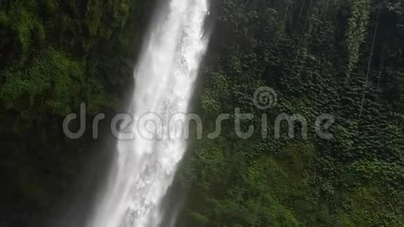 令人惊叹的Nungnung瀑布巴厘岛慢动作录像热带植物前景的流动相机视频的预览图