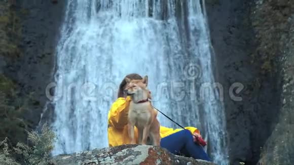 年轻的女旅行者徒步旅行者穿着黄色雨衣坐在瀑布旁带着一条石坝狗享受自然和生活视频的预览图