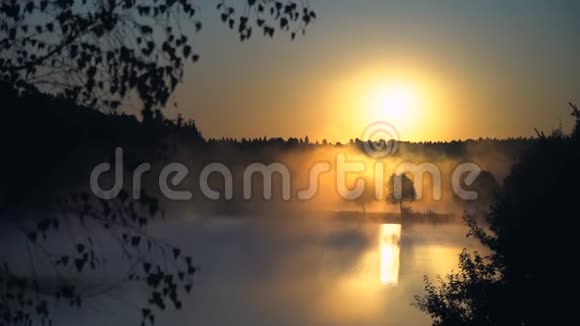 朦胧的黄日升在平静的湖面上树的倒影视频的预览图