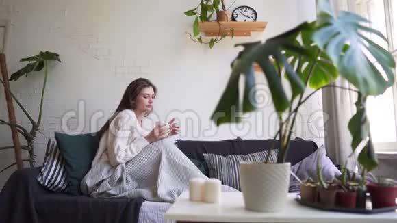 斯堪的纳维亚的生活方式年轻漂亮的女人躺在沙发上喝咖啡享受生活视频的预览图